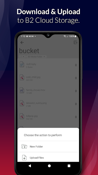 Backblaze Support, Setup and Optimization 4