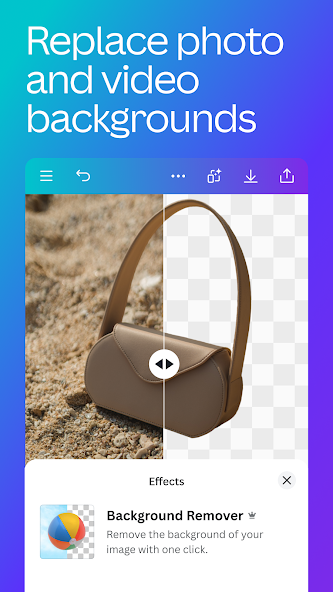 Canva Support, Setup and Optimization 3