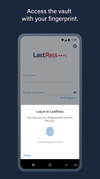 LastPass Support, Setup and Optimization 4