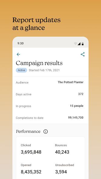 Mailchimp Support, Setup and Optimization 2