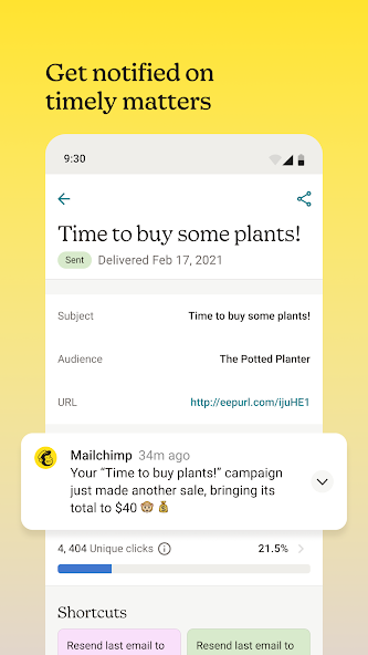 Mailchimp Support, Setup and Optimization 1