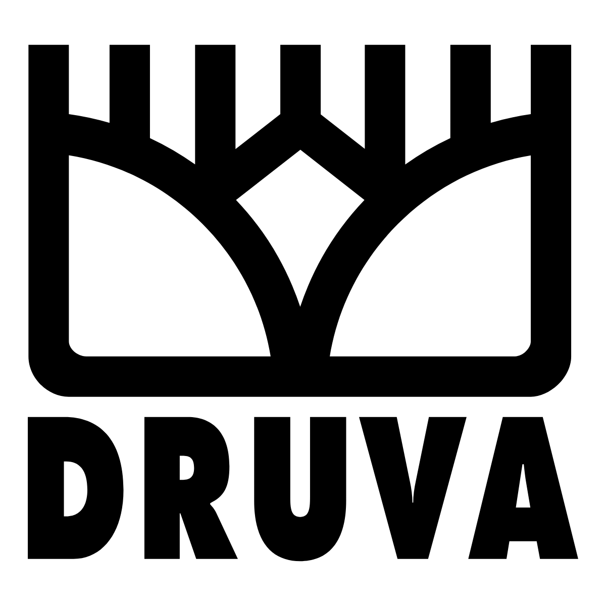 Druva logo