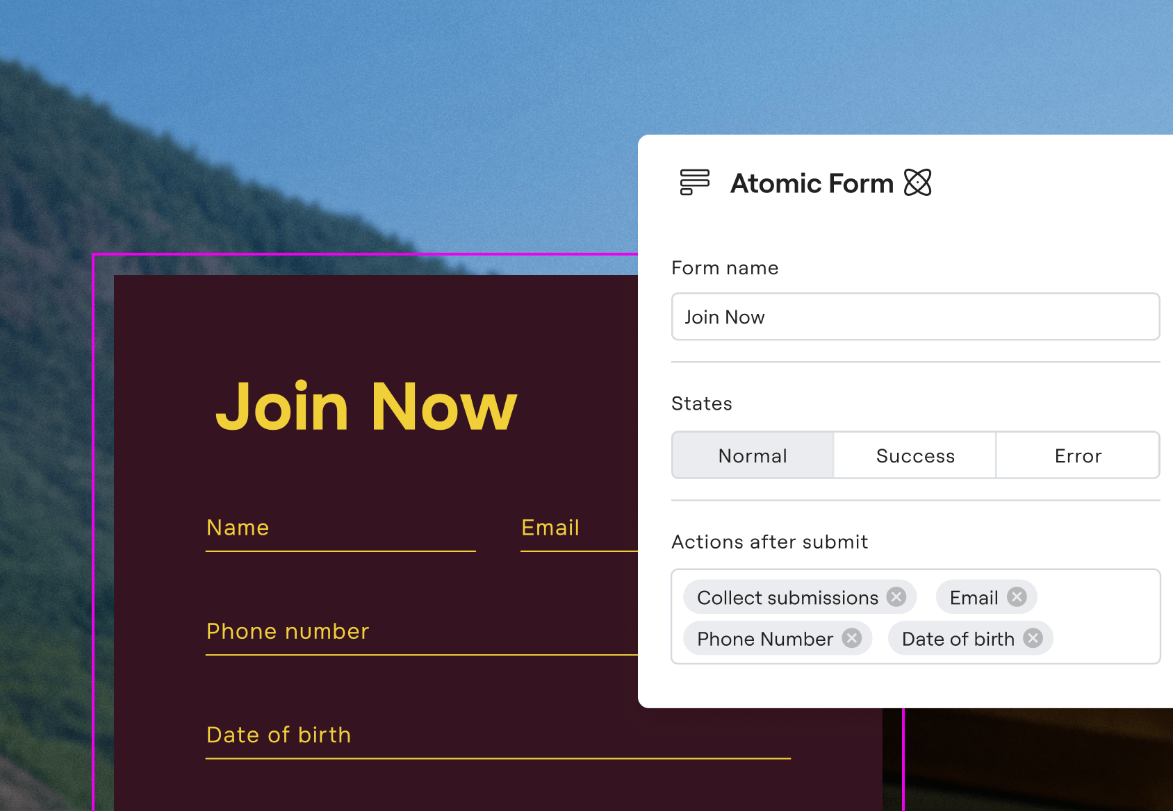 Elementor form and marketing interface