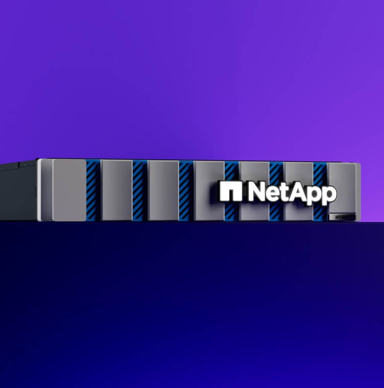 NetApp ONTAP image