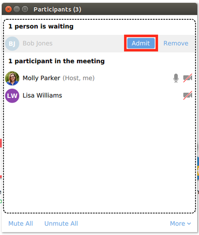 Official older Zoom Linux Participants panel showing one sample person waiting beside a red-highlighted Admit control.